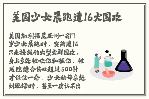 陆沉塞玩具高速